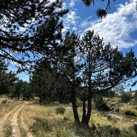 5 Pers Cevennes Lozere Alpstuga *